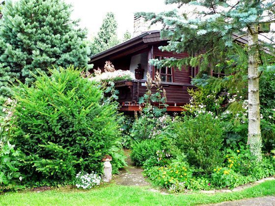 Ferienhaus Harz mit Garten