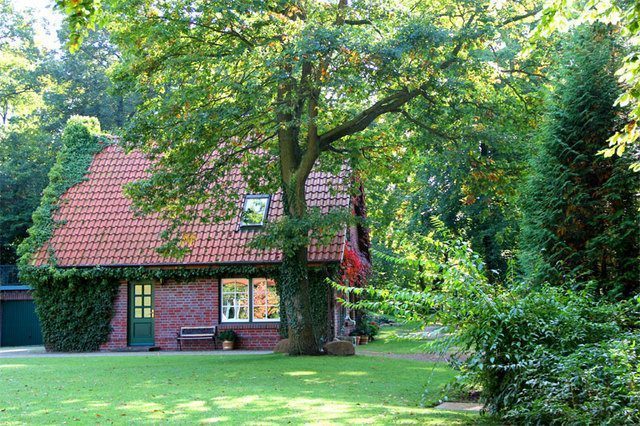 Nichtraucher-Ferienhaus in Mecklenburg-Vorpommern