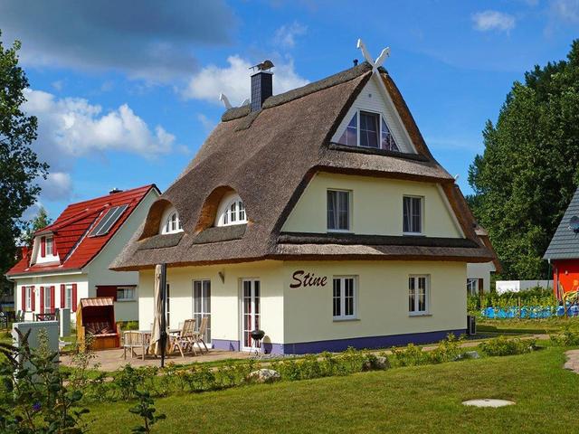 Ferienhaus Ostsee mit Reiturlaub-Möglichkeit