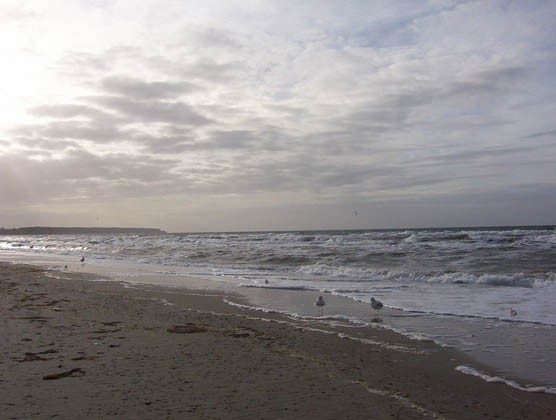 Warnemünde Ferienwohnung Grothmann - Strand - 78054 - 1