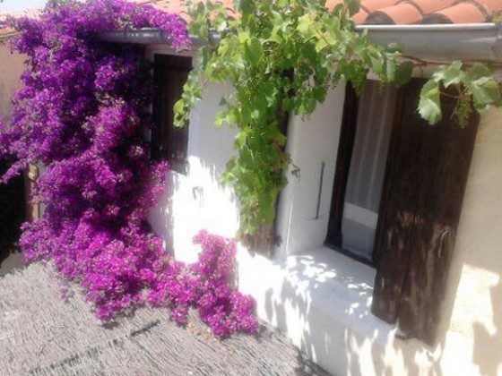 Gartenfassade mit Bougainvillea