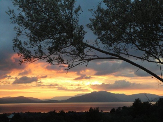 Insel Evia  - Bild 4 - Objekt 98596-1