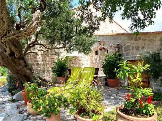 Terrasse unter dem Olivenbaum - Bild 1 - Objekt 201117-3