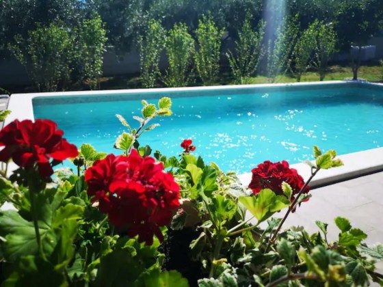 das Pool - Bild 2 - Objekt 225602-6 