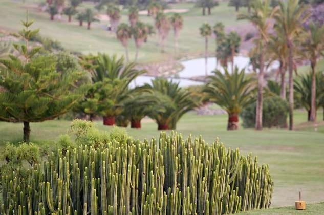 Golfplatz